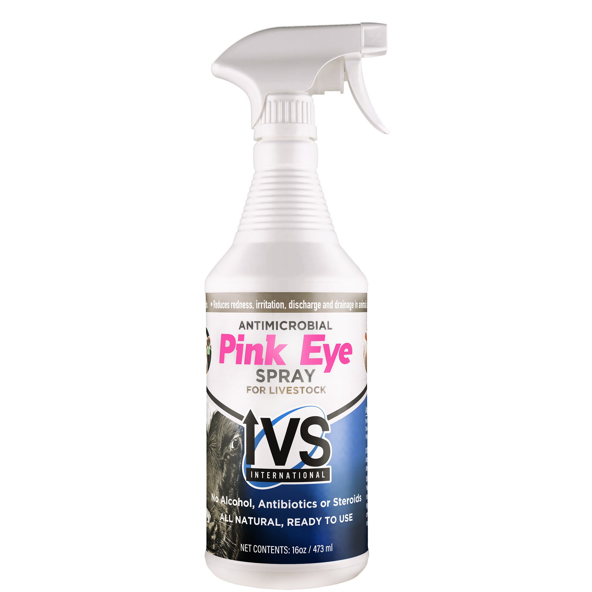 IVS Spray per occhi rosa - 16 oz